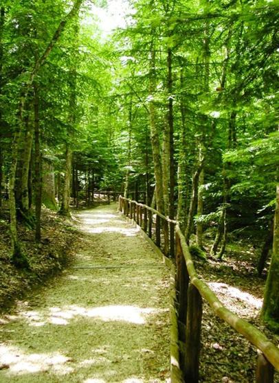 B & B Il Tratturo San Pietro Avellana Kültér fotó